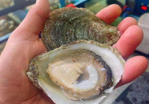 Captura de Pantalla 2023-09-14 a la(s) 22.50.26